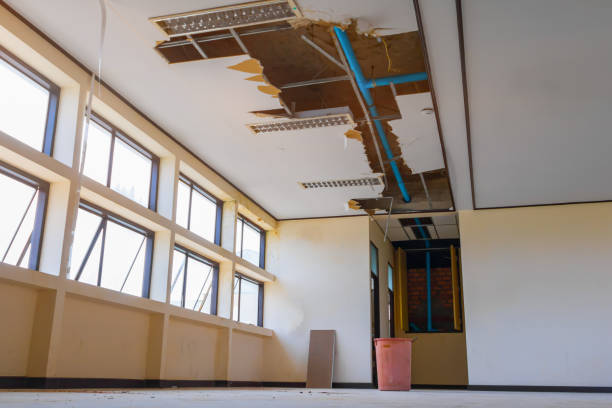 Best Water damage restoration near me  in Delft Colony, CA