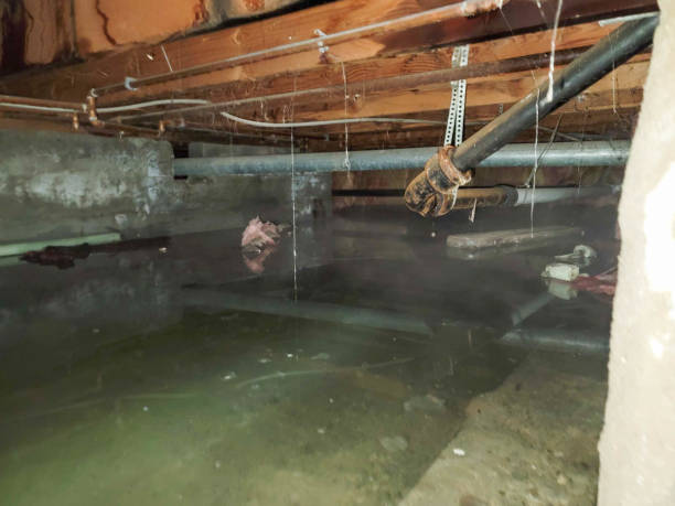 Best Flooded house restoration  in Delft Colony, CA