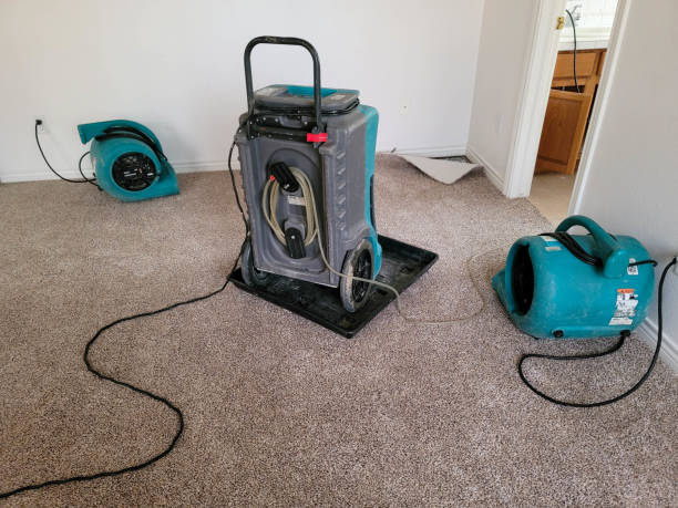 Best Professional water damage repair  in Delft Colony, CA