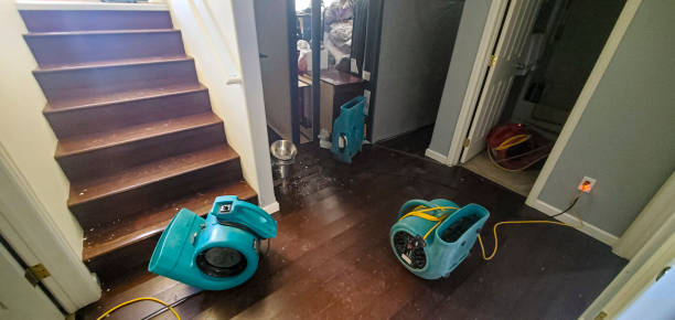 Best Water damage restoration services  in Delft Colony, CA