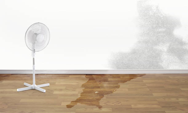 Best Sewage cleanup and water damage restoration  in Delft Colony, CA
