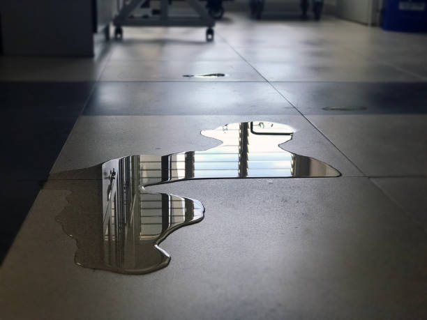 Best Water damage contractors near me  in Delft Colony, CA