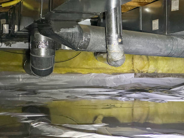 Best Professional water damage repair  in Delft Colony, CA