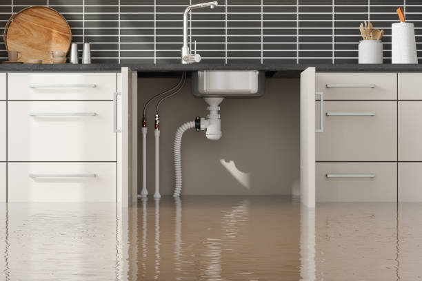 Best Mold removal after water damage  in Delft Colony, CA