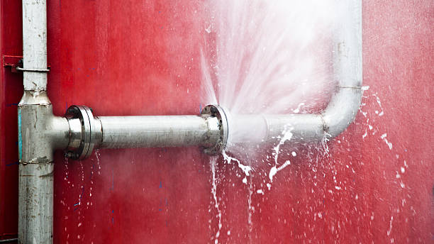 Best Local water damage restoration  in Delft Colony, CA
