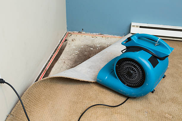 Best Fire Damage Restoration  in Delft Colony, CA